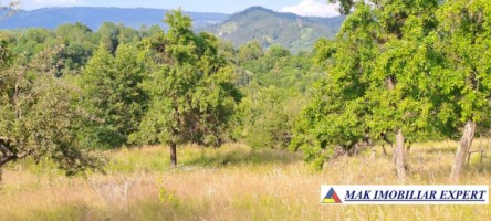 teren-244-ha-intravilan-de-vanzare-in-bughea-de-sus-arges-14