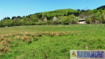 teren-3064-mp-lot-s4s3s2s1bughea-de-sus-magura-campulung-muscel-arges-ideal-pentru-proiecte-rezidentiale-7