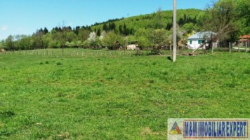 teren-3064-mp-lot-s4s3s2s1bughea-de-sus-magura-campulung-muscel-arges-ideal-pentru-proiecte-rezidentiale-11