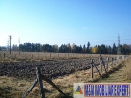 teren-intravilan-3000-mp-de-vanzare-in-grui-campulung-muscel-arges-ideal-pentru-dezvoltari-rezidentiale