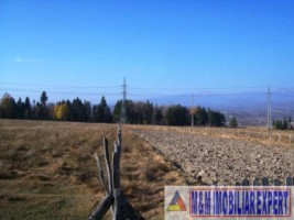 teren-intravilan-3000-mp-de-vanzare-in-grui-campulung-muscel-arges-ideal-pentru-dezvoltari-rezidentiale-2