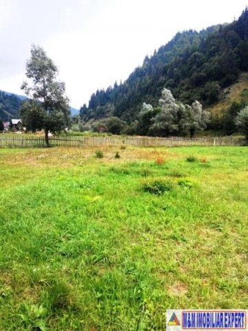 teren-800-mp-intravilan-rucar-satic-2