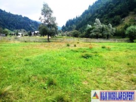 teren-800-mp-intravilan-rucar-satic-3