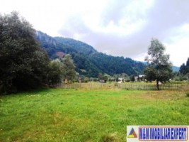 teren-800-mp-intravilan-rucar-satic-4