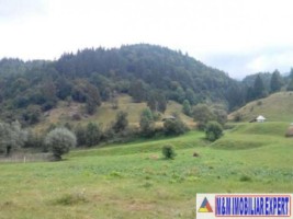 teren-800-mp-intravilan-rucar-satic-5