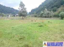 teren-800-mp-intravilan-rucar-satic-6