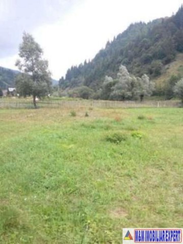 teren-800-mp-intravilan-rucar-satic-8