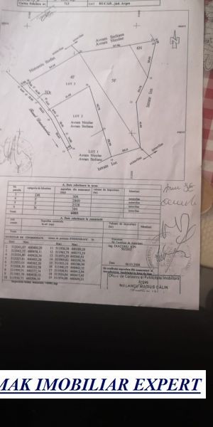teren-800-mp-intravilan-rucar-satic-13