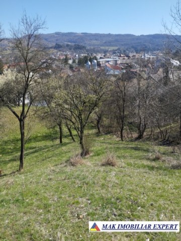 teren-5567-mp-intravilan-de-vanzare-in-campulung-muscel-arges-ideal-pentru-dezvoltare-rezidentiala-3