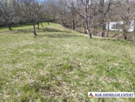 teren-5567-mp-intravilan-de-vanzare-in-campulung-muscel-arges-ideal-pentru-dezvoltare-rezidentiala-4