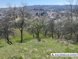 teren-5567-mp-intravilan-de-vanzare-in-campulung-muscel-arges-ideal-pentru-dezvoltare-rezidentiala-2