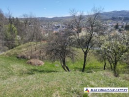 teren-5567-mp-intravilan-de-vanzare-in-campulung-muscel-arges-ideal-pentru-dezvoltare-rezidentiala-10