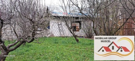 casa-berevoesti-si-teren-intravilan-5400-mppret-70000-euro-3