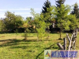 teren-intravilan-2100-mp-de-vanzare-in-bughea-de-jos-ideal-pentru-dezvoltari-rezidentiale-3