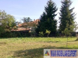 teren-intravilan-2100-mp-de-vanzare-in-bughea-de-jos-ideal-pentru-dezvoltari-rezidentiale-4