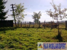 teren-intravilan-2100-mp-de-vanzare-in-bughea-de-jos-ideal-pentru-dezvoltari-rezidentiale-5