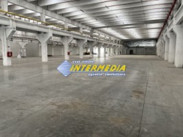 hale-de-inchiriat-productie-depozitare-alba-iulia-suprafata-de-1725-si-4000-mp-finisata-complet-3