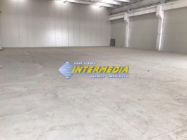 hale-de-inchiriat-productie-depozitare-alba-iulia-suprafata-de-1725-si-4000-mp-finisata-complet-7