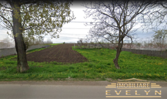 teren-intravilan-10000mp-situat-in-roma-botosani-la-strada-principala