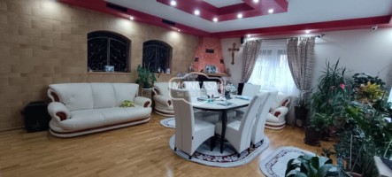 de-vanzare-vila-pm-situata-in-localitatea-manastirea-doamnei-8