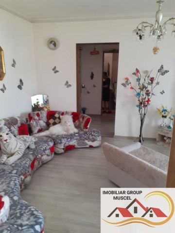 apartament-2-camere-cf-1-42-mp-etj-44-visoi-rotunda-pret-34700-euro-2