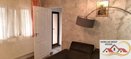 casa-4-camere-su-110-mp-teren-453-mp-campulung-muscel-centru-pret-79000-euro-neg-6