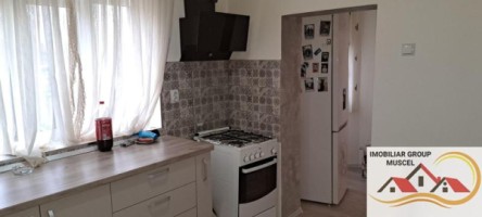 casa-4-camere-su-110-mp-teren-453-mp-campulung-muscel-centru-pret-79000-euro-neg-23