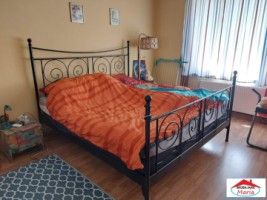 casa-zona-titulescu-cu-spatiu-comercial-id-22463-8