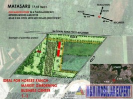 teren-agricol-1745-ha-de-vanzare-in-matasaru-dambovita-ideal-pentru-investitii-agricole