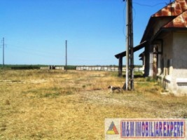 teren-agricol-1745-ha-de-vanzare-in-matasaru-dambovita-ideal-pentru-investitii-agricole-3