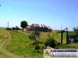 teren-agricol-1745-ha-de-vanzare-in-matasaru-dambovita-ideal-pentru-investitii-agricole-9