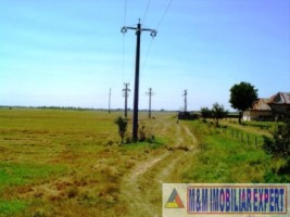 teren-agricol-1745-ha-de-vanzare-in-matasaru-dambovita-ideal-pentru-investitii-agricole-10