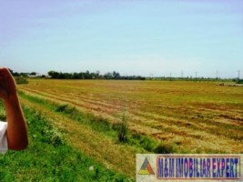 teren-agricol-1745-ha-de-vanzare-in-matasaru-dambovita-ideal-pentru-investitii-agricole-11