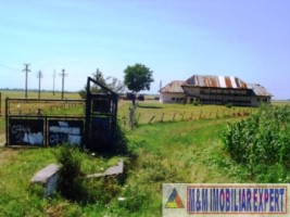 teren-agricol-1745-ha-de-vanzare-in-matasaru-dambovita-ideal-pentru-investitii-agricole-12