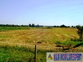 teren-agricol-1745-ha-de-vanzare-in-matasaru-dambovita-ideal-pentru-investitii-agricole-14