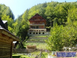 vila-pensiune-10-camere-de-vanzare-in-brusturet-valea-rea-dambovicioara-arges-ideala-pentru-turism-montan-7