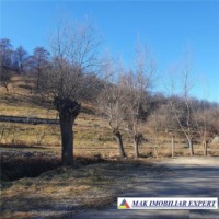 teren-intravilan-4614-mp-de-vanzare-in-valea-romanestilor-campulung-muscel-arges-ideal-pentru-constructii-rezidentiale-sau-comerciale-8