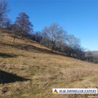 teren-intravilan-4614-mp-de-vanzare-in-valea-romanestilor-campulung-muscel-arges-ideal-pentru-constructii-rezidentiale-sau-comerciale-12