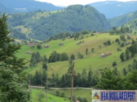 teren-extravilan-5000-mp-de-vanzare-in-dambovicioara-padina-sirnii-ideal-pentru-agricultura-si-recreere