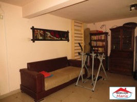 casa-spe-zona-ultracentrala-id-21731-9