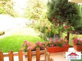 casa-spe-zona-ultracentrala-id-21731-12