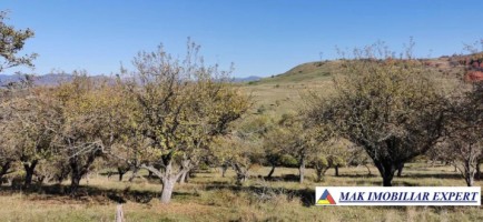 teren-extravilan-de-4021-mp-cu-livada-situat-langa-raul-argesel-si-cu-acces-la-sosea-ideal-pentru-proiecte-agricole-valea-mare-pravat-arges