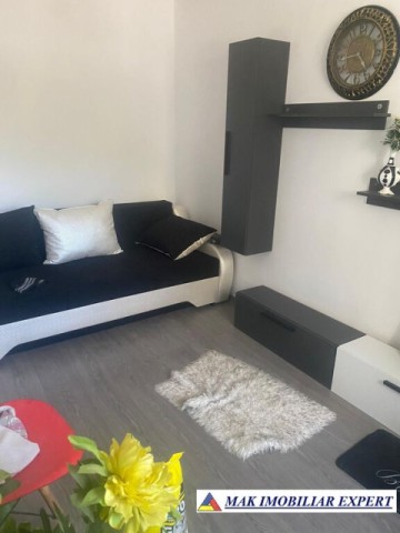 vandut-gasca-zurli-apartament-2-camere-confort-3-parter-in-visoi-campulung-muscel-arges-2