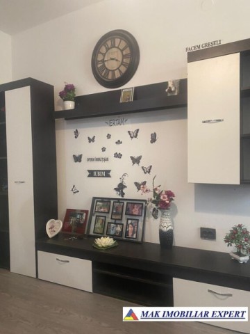 vandut-gasca-zurli-apartament-2-camere-confort-3-parter-in-visoi-campulung-muscel-arges-4