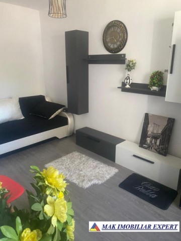 vandut-gasca-zurli-apartament-2-camere-confort-3-parter-in-visoi-campulung-muscel-arges-5