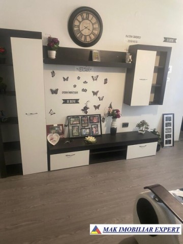 vandut-gasca-zurli-apartament-2-camere-confort-3-parter-in-visoi-campulung-muscel-arges-10