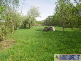 urgent-casa-3-camere-teren-4935-mp-campulung-2