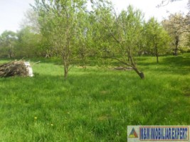 urgent-casa-3-camere-teren-4935-mp-campulung-4