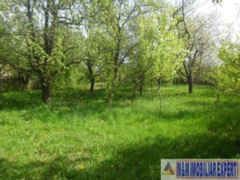urgent-casa-3-camere-teren-4935-mp-campulung-9