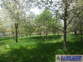 urgent-casa-3-camere-teren-4935-mp-campulung-10